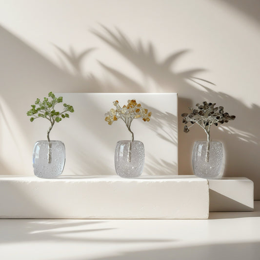 Grounded Abundance Trio